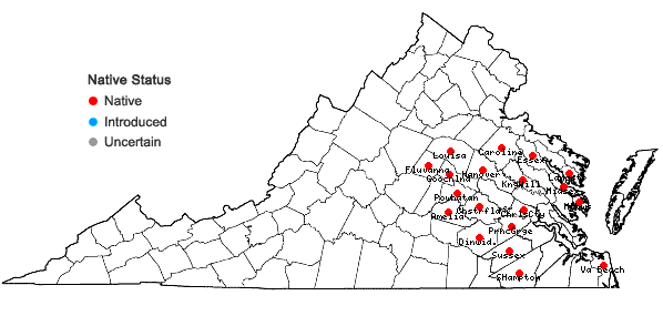 Locations ofUtricularia biflora Lam. in Virginia