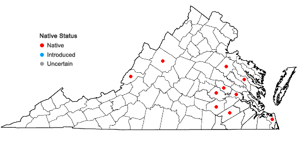 Locations ofUtricularia geminiscapa Benj. in Virginia