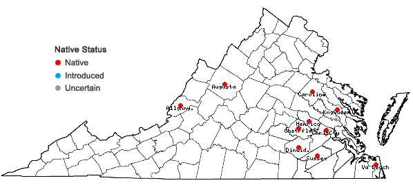 Locations ofUtricularia geminiscapa Benj. in Virginia