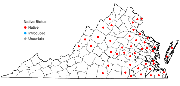 Locations ofUtricularia gibba L. in Virginia