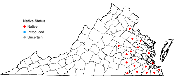 Locations ofUtricularia inflata Walt. in Virginia