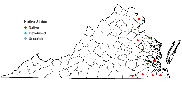 Locations ofUtricularia macrorhiza Le Conte in Virginia