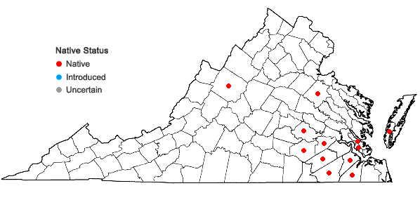 Locations ofUtricularia radiata Small in Virginia