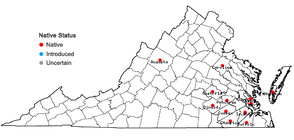 Locations ofUtricularia radiata Small in Virginia