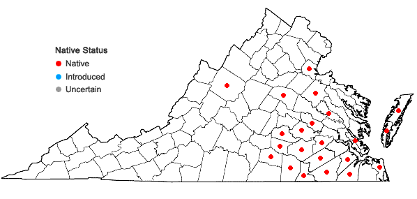 Locations ofUtricularia subulata L. in Virginia