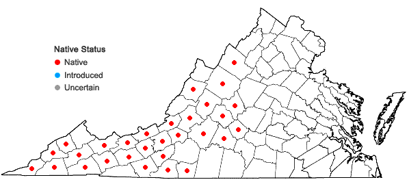 Locations ofUvularia grandiflora Sm. in Virginia