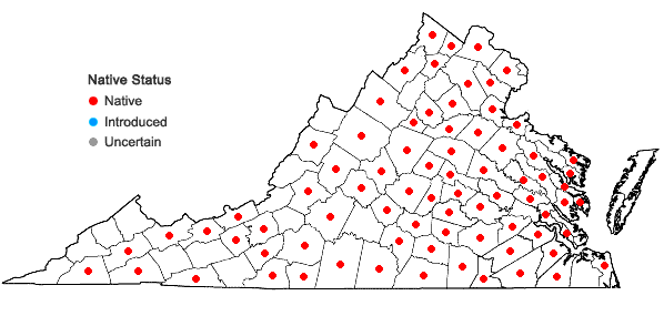 Locations ofUvularia sessilifolia L. in Virginia