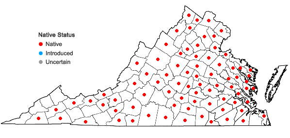 Locations ofUvularia sessilifolia L. in Virginia