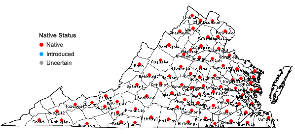 Locations ofUvularia sessilifolia L. in Virginia