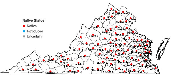 Locations ofUvularia sessilifolia L. in Virginia