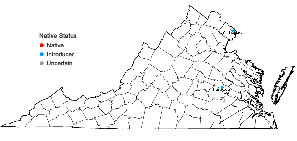 Locations ofVaccaria hispanica (P. Mill.) Rausch. in Virginia