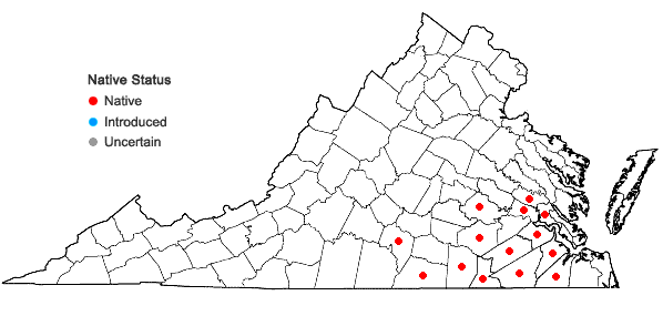 Locations ofVaccinium arboreum Marsh. in Virginia