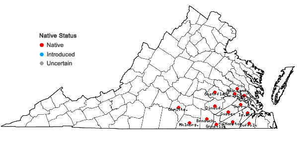 Locations ofVaccinium arboreum Marsh. in Virginia