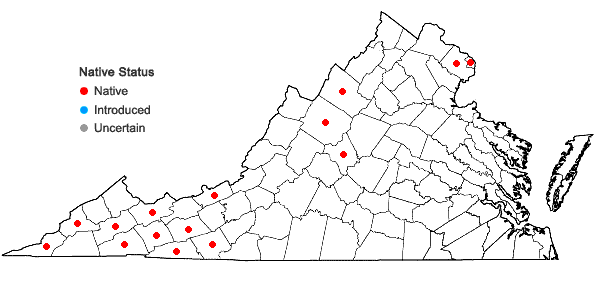 Locations ofVaccinium corymbosum L. in Virginia