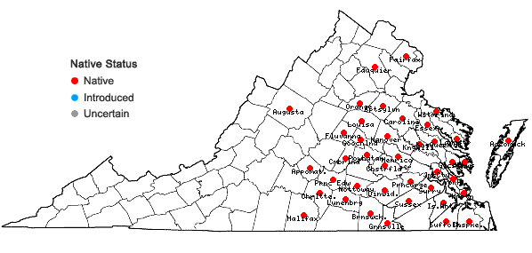 Locations ofVaccinium formosum Andr. in Virginia