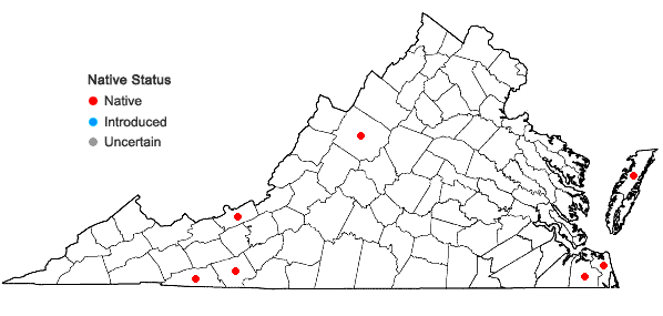 Locations ofVaccinium macrocarpon Ait. in Virginia