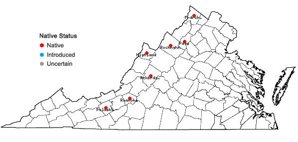 Locations ofVaccinium myrtilloides Michx. in Virginia