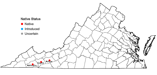 Locations ofValerianella chenopodiifolia (Pursh) DC. in Virginia