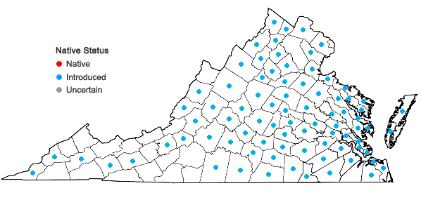 Locations ofValerianella locusta (L.) Latterade in Virginia