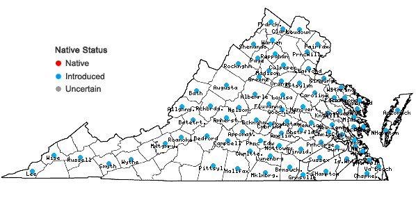 Locations ofValerianella locusta (L.) Latterade in Virginia