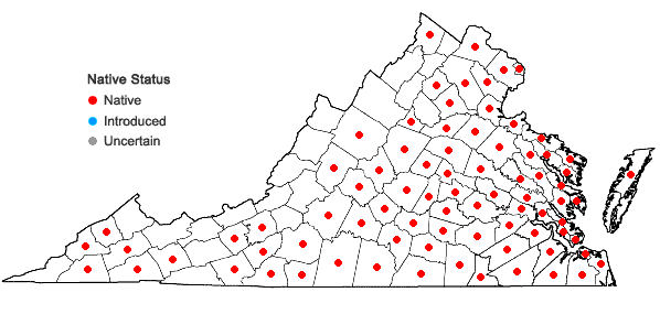 Locations ofValerianella radiata (L.) Dufr. in Virginia