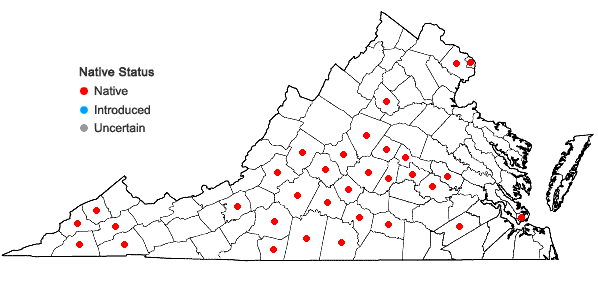 Locations ofValerianella umbilicata (Sull.) Wood in Virginia