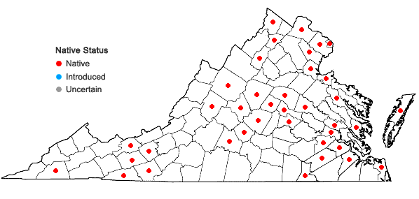 Locations ofVallisneria americana Michx. in Virginia