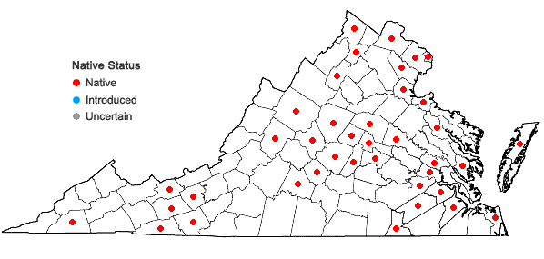 Locations ofVallisneria americana Michx. in Virginia