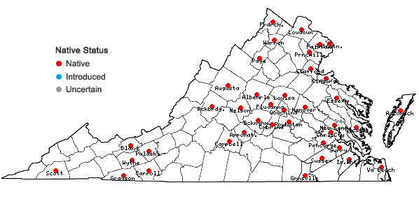 Locations ofVallisneria americana Michx. in Virginia