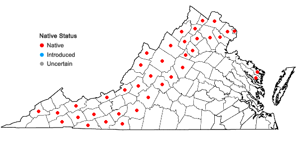 Locations ofVeratrum viride Aiton in Virginia