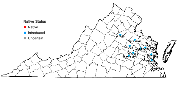 Locations ofVerbascum lychnitis L. ssp. lychnitis in Virginia