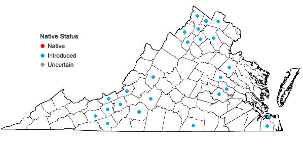 Locations ofVerbascum phlomoides L. in Virginia