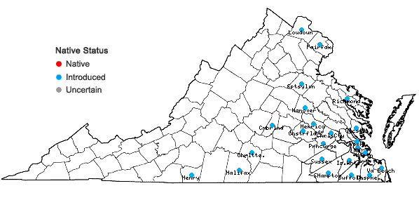 Locations ofVerbena brasiliensis Vell. in Virginia