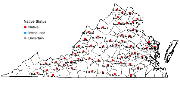 Locations ofVerbena hastata L. in Virginia