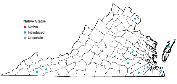Locations ofVerbena officinalis L. in Virginia