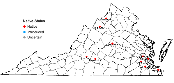 Locations ofVerbena scabra Vahl in Virginia