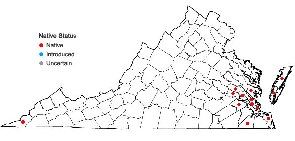 Locations ofVerbesina virginica L. var. virginica in Virginia