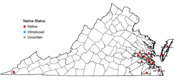 Locations ofVerbesina virginica L. var. virginica in Virginia