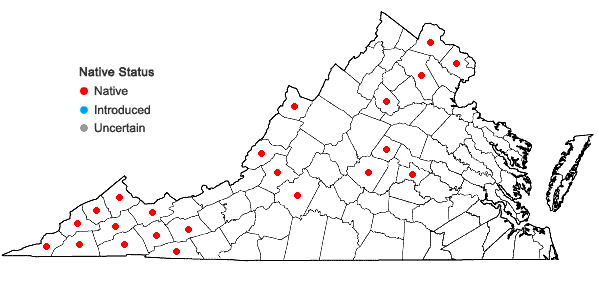 Locations ofVernonia gigantea (Walt.) Trel. in Virginia