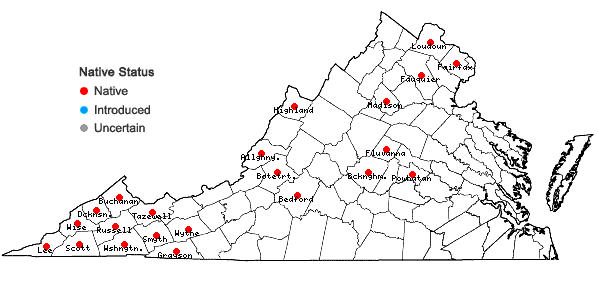 Locations ofVernonia gigantea (Walt.) Trel. ex Brann. & Cov. in Virginia