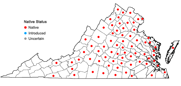 Locations ofVernonia glauca (L.) Willd. in Virginia