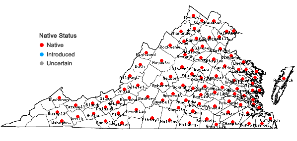 Locations ofVernonia noveboracensis (L.) Michx. in Virginia