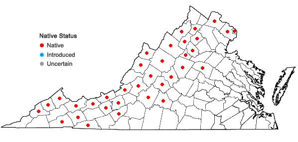 Locations ofVeronica americana Schwein. ex Benth. in Virginia