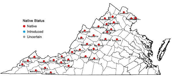 Locations ofVeronica americana Schwein. ex Benth. in Virginia