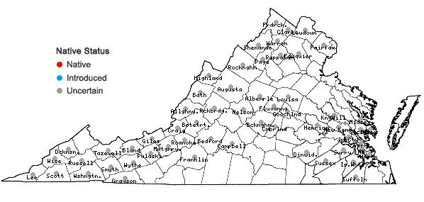 Locations ofVeronica anagallis-aquatica L. in Virginia