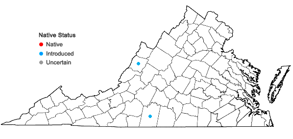 Locations ofVeronica chamaedrys L. in Virginia