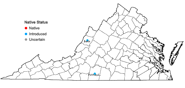 Locations ofVeronica chamaedrys L. in Virginia