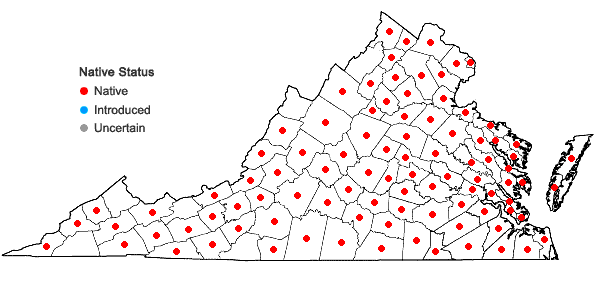 Locations ofVeronica peregrina L. var. peregrina in Virginia