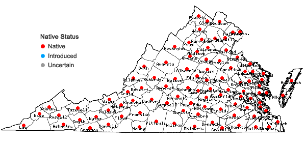 Locations ofVeronica peregrina L. var. peregrina in Virginia