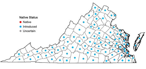 Locations ofVeronica persica Poiret in Virginia